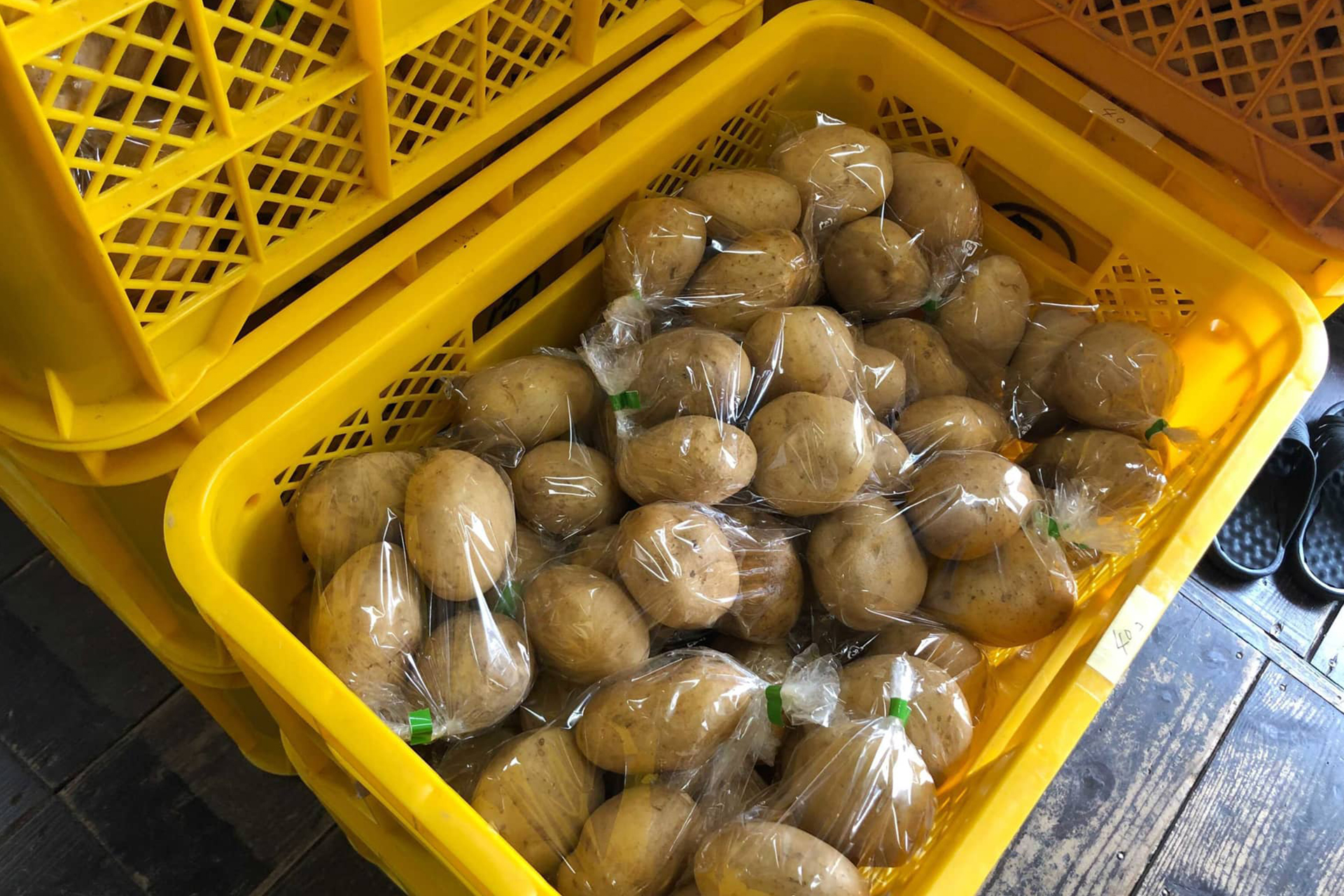 じゃがいもの仕分け